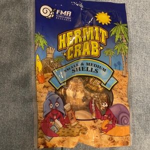 New NWT Natural hermit crab shells small and medium